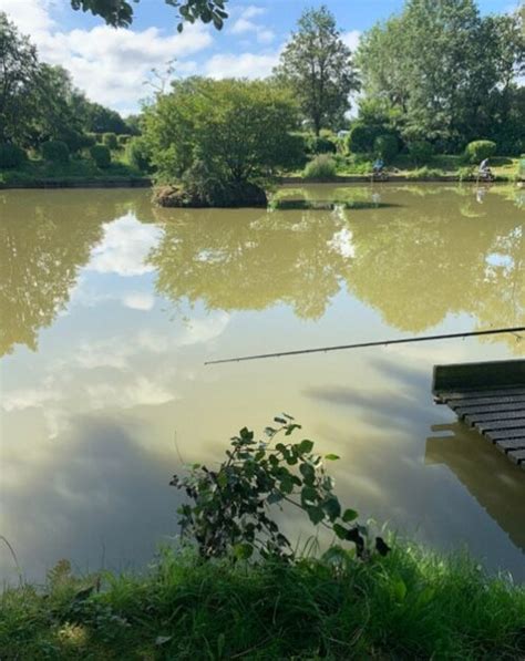 charity farm fishery|charity farm fishery reviews.